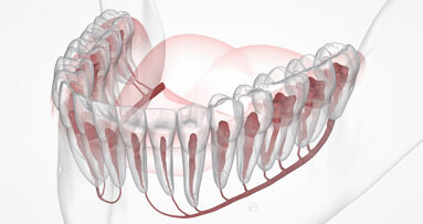 Envista’s newest FDA approval complements other AI-powered features in DTX Studio Clinic