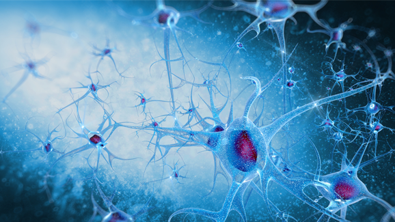 Neue Alternative zur Autograft-Therapie