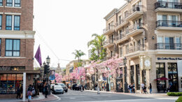 WRDE 2019 - Western Regional Dental Convention
