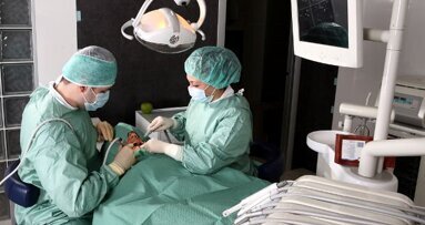 Przewidywalna sterowana regeneracja kości