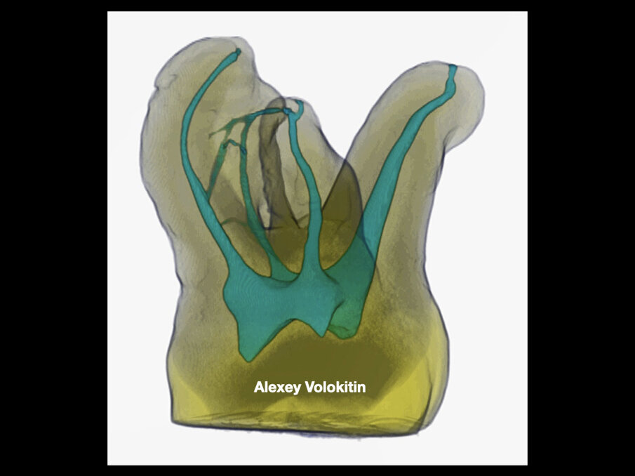 Fig. 8 (Image: Alexey Volokitin)