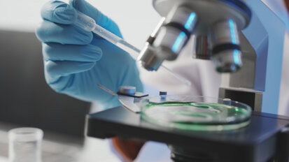 Study reveals a potential new target for periodontal disease treatment