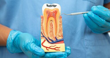 New expert consensus offers comprehensive guide to apical microsurgery