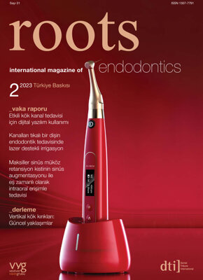 roots Turkey No. 2, 2023