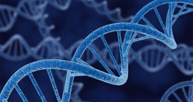 Ανθρώπινο DNA σε αρχαία τσίχλα 10.000 ετών