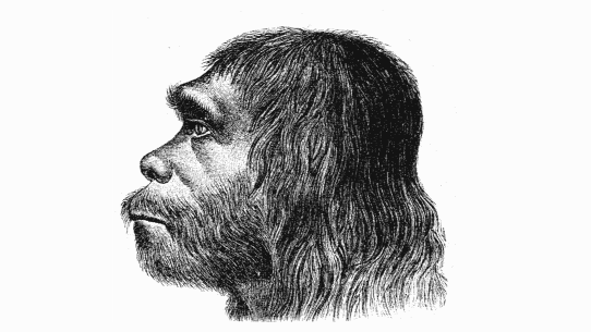 Neandertalczycy nie cierpieli na próchnicę