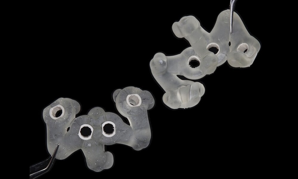 Fig. 27
