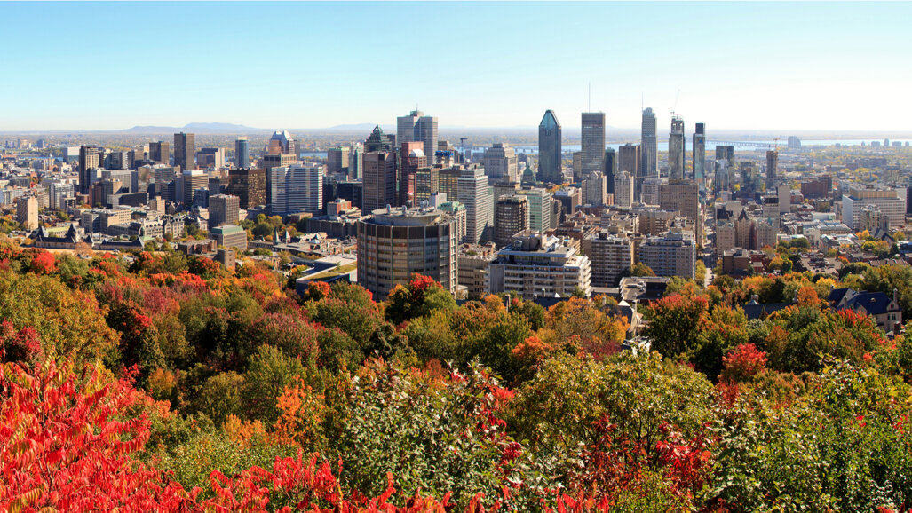 Journées Dentaires Internationales du Québec