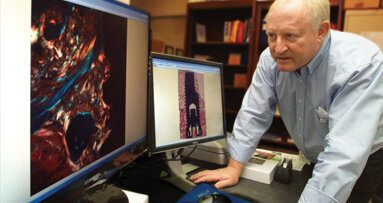 Bone-regenerating protein could improve dental implant success