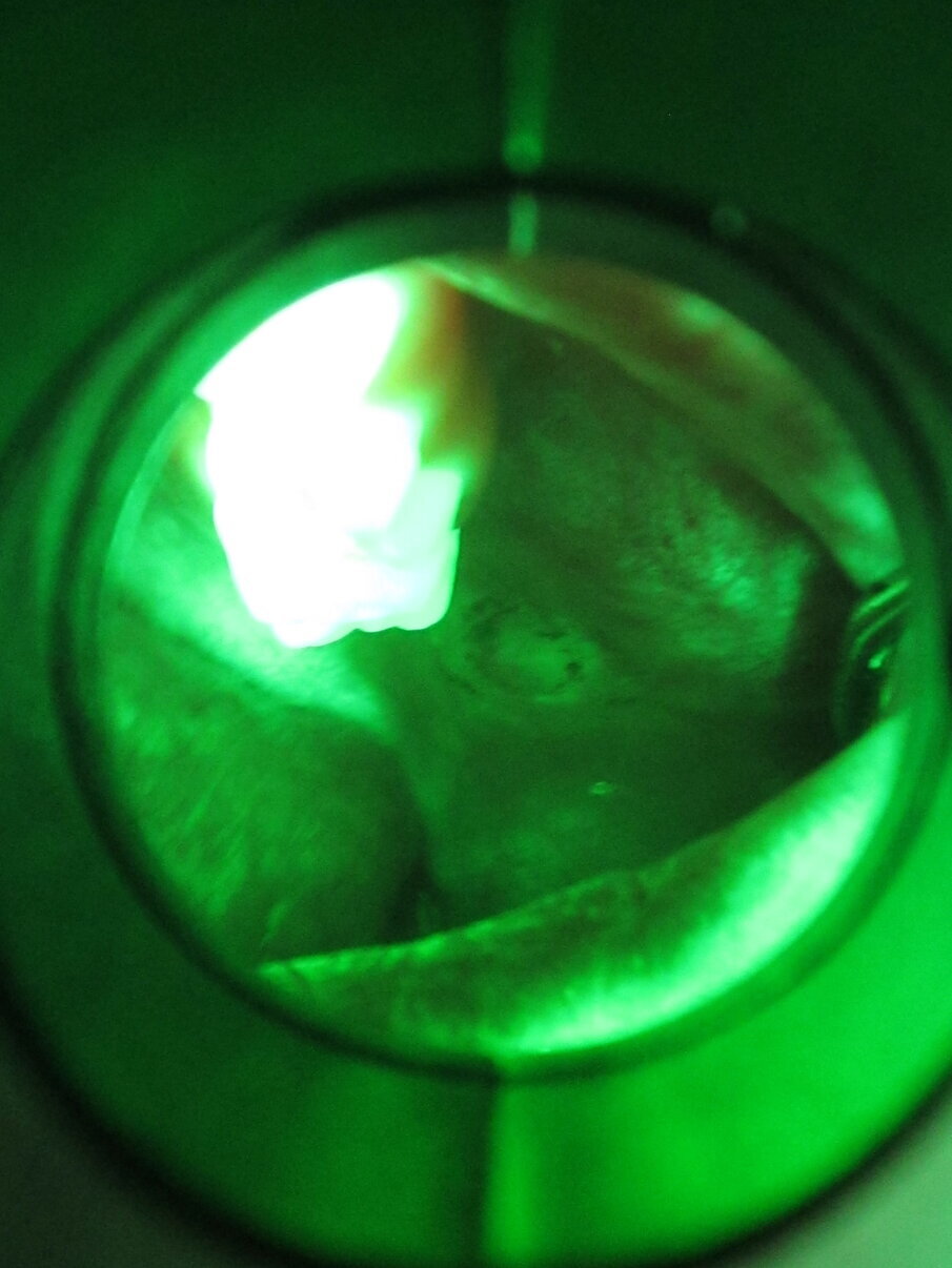 Fig. 2 