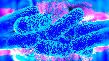 Legionella, grazie ad Associazione Italiane Odontoiatri presto linee guida più pratiche