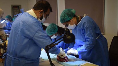 IADSR strengthens dentists' oral surgery skills through simulation-based goat-head workshop