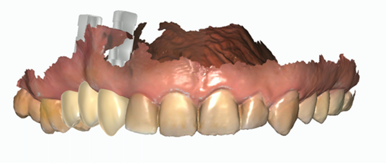 Fig. 8