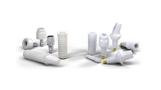 Straumann Ceramic Implant Systems