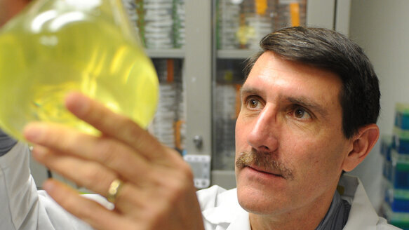 Research holds promise of therapeutic approach for gum disease