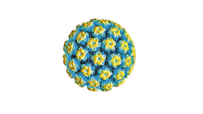 Fondazione ANDI: cosa fare per prevenire e controllare il Papilloma Virus