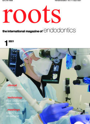roots C.E. No. 1, 2021