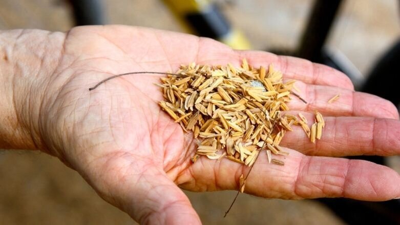 Dental composite resin from rice husk
