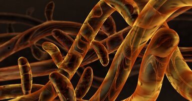 NIH grants $2 million for research into oral disease