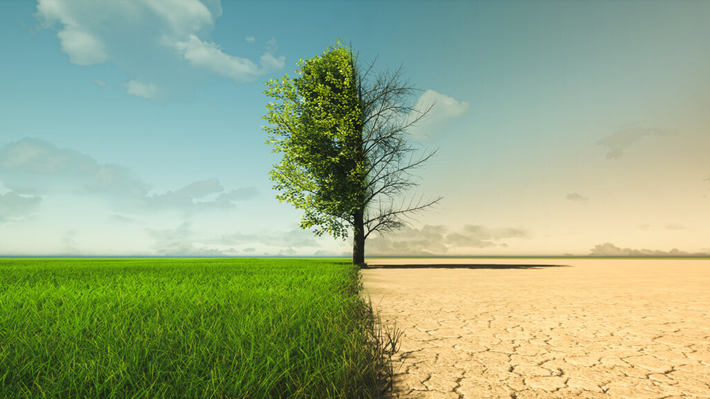 Selon une nouvelle étude, la santé bucco-dentaire est menacée par le changement climatique