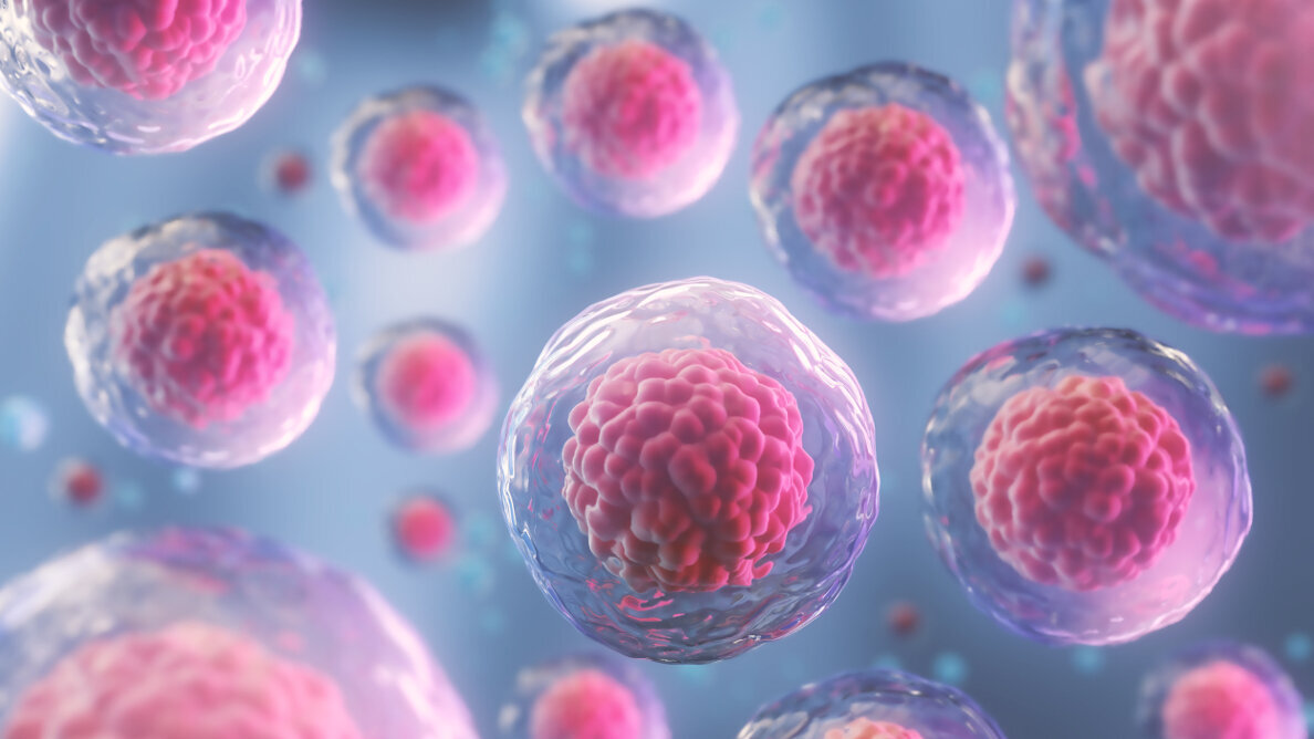 La bouche et le SARS-CoV-2 : Rôle clé dans l'infection et la transmission