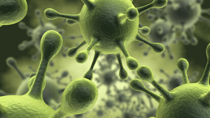 Zahnanalyse: Forscher entschlüsseln Pestvirus