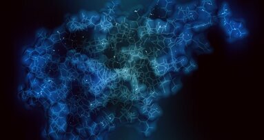 Protein science breakthroughs win the 2024 Nobel Prize in Chemistry