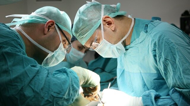 Organ transplantation key to fight disease: Experts