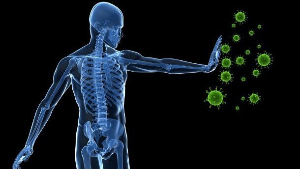 Les métaux lourds au secours de l'immunité