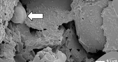 La gomma da masticare contribuisce a mantenere la salute orale (milioni di batteri, infatti, vi rimarrebbero intrappolati)
