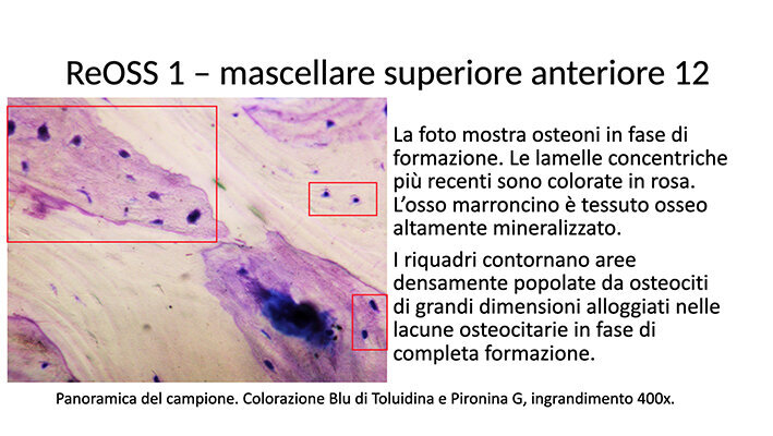Fig. 28