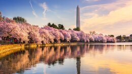IADR/AADR/CADR General Session & Exhibition 2020