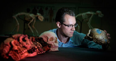Dai denti si può prevedere l'evoluzione dell’uomo