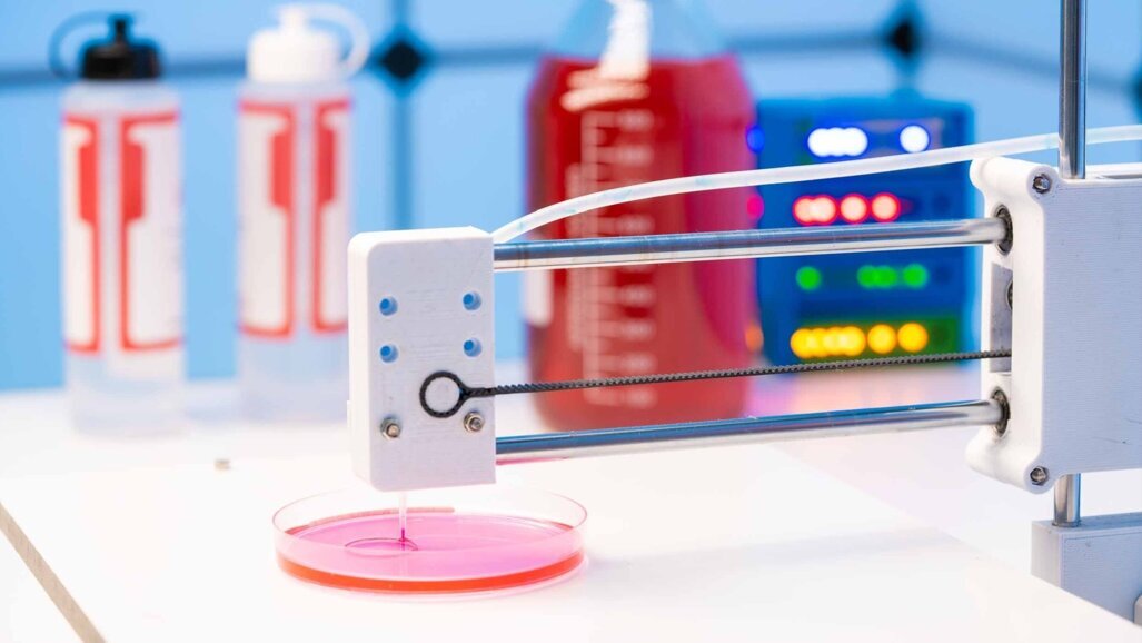 Aprender os conceitos básicos de design para bioimpressão é gratuito e fácil