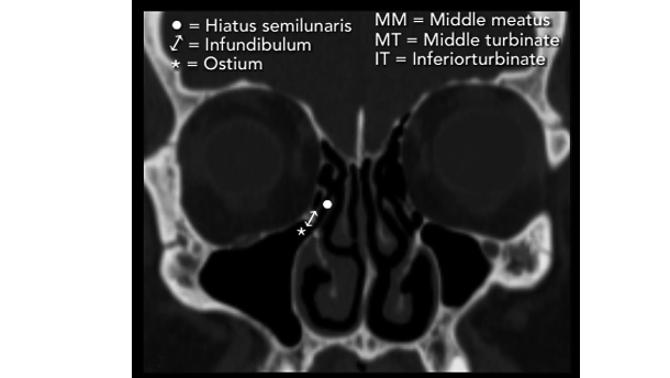 Current and related literature abstracts