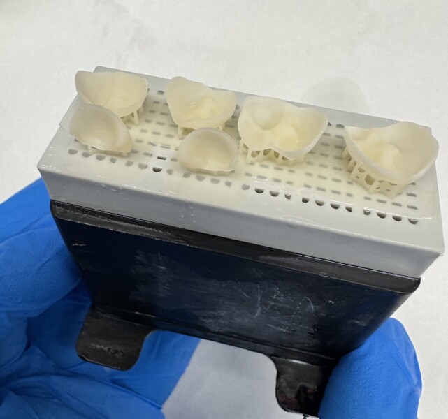 Fig. 6a: 3D-printed restorations after washing, ready for separation from the platform and post-polymerisation.