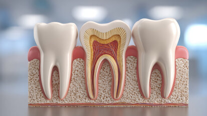 Porosität im Dentin korreliert mit erhöhter Zinkkonzentration