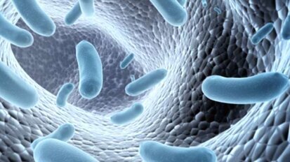 Bakterien täuschen Immunsystem mit Tarnkappe