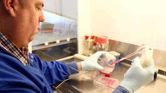 La capa de un lípido mejora la unión de los implantes de titanio con el hueso