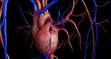 Rise in endocarditis despite antibiotics guidelines for dentists
