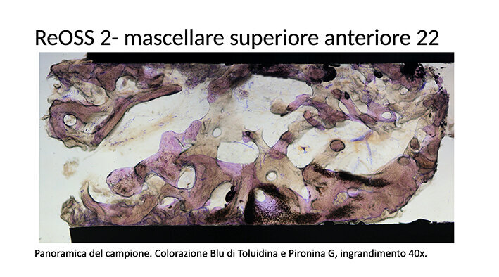 Fig. 30
