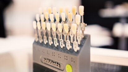 pritidenta: Always one step into the future
