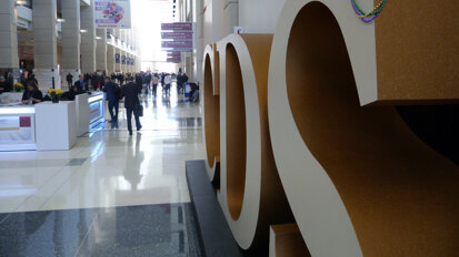 Meeting review: 2019 Midwinter Meeting in Chicago