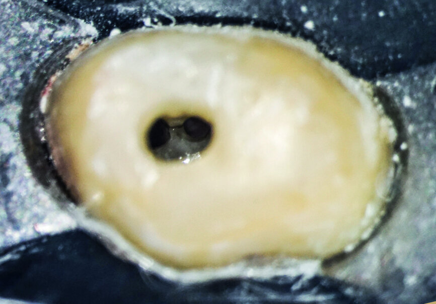 Fig.: 10