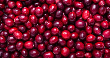 Researchers investigate the effect of cranberry juice on dental plaque