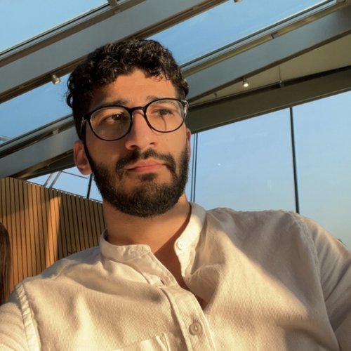 Ali Arabnejad