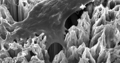 Fabriqué à partir de nanotubes