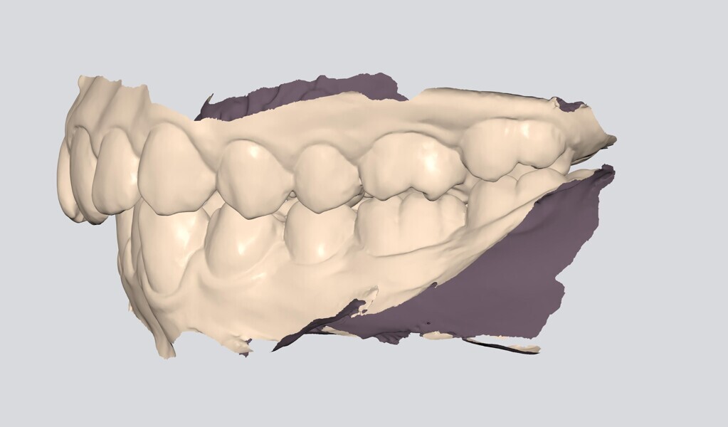 Fig. 8