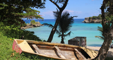 AAIP hosts implant seminars in Jamaica
