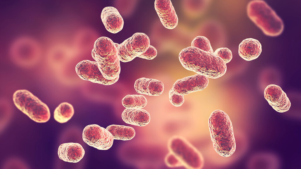 Review offers evidence of link between oral microbiome and cancer